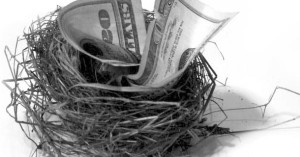 Nest Egg