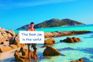 best-job