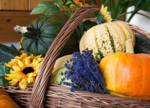 harvest-season-decor