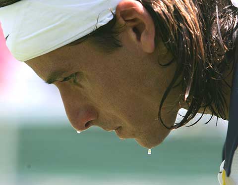 Jebus It's Hot