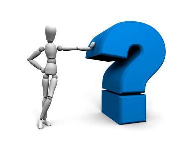 What To Do About The Government?