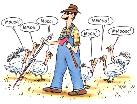 Happy Thanksgiving!