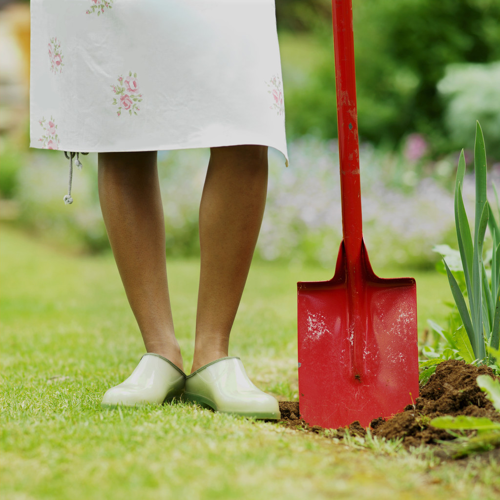Go Green: Five S’s for the 2011 Spring Vegetable Garden