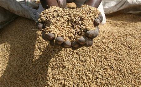 rice - Worldwide Hike In Food Prices Push Millions Into Poverty