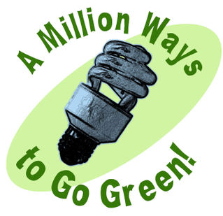 How to Go Green in Big Ways Without Breaking the Bank