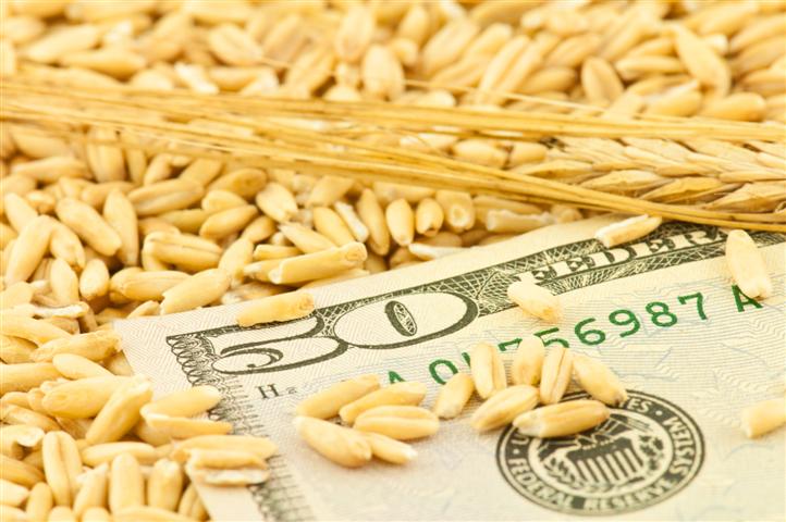 food prices - Groceries