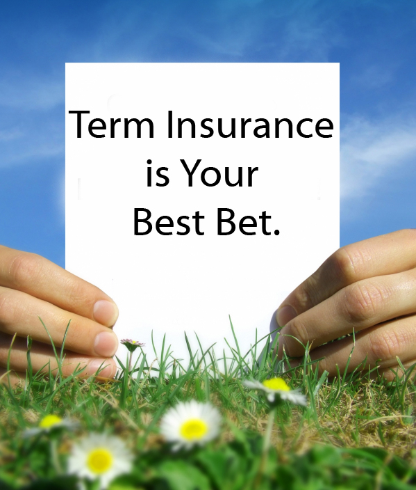 term life insurance
