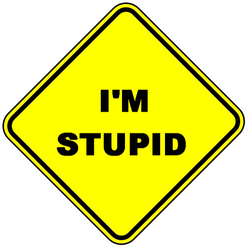 I am stupid