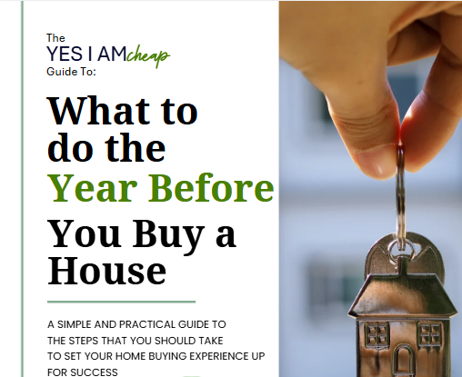 The Year Before You Buy a House Guide